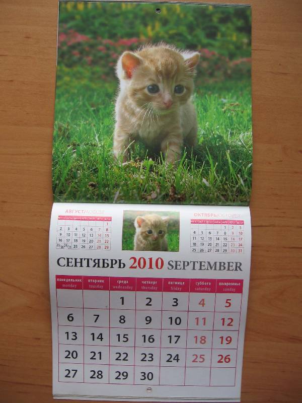 Иллюстрация 5 из 6 для Календарь. 2010 год. Котята (30905) | Лабиринт - сувениры. Источник: Red cat ;)