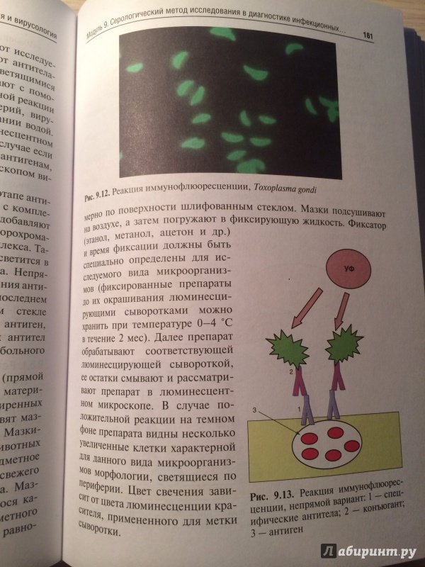 Иллюстрация 14 из 14 для Микробиология, вирусология. Руководство к практическим занятиям - Зверев, Бойченко, Несвижский | Лабиринт - книги. Источник: | favouritevampire |