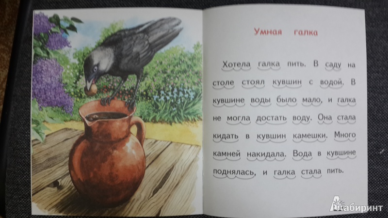 Иллюстрация 6 из 18 для Кот и мыши - Лев Толстой | Лабиринт - книги. Источник: ИринаИ