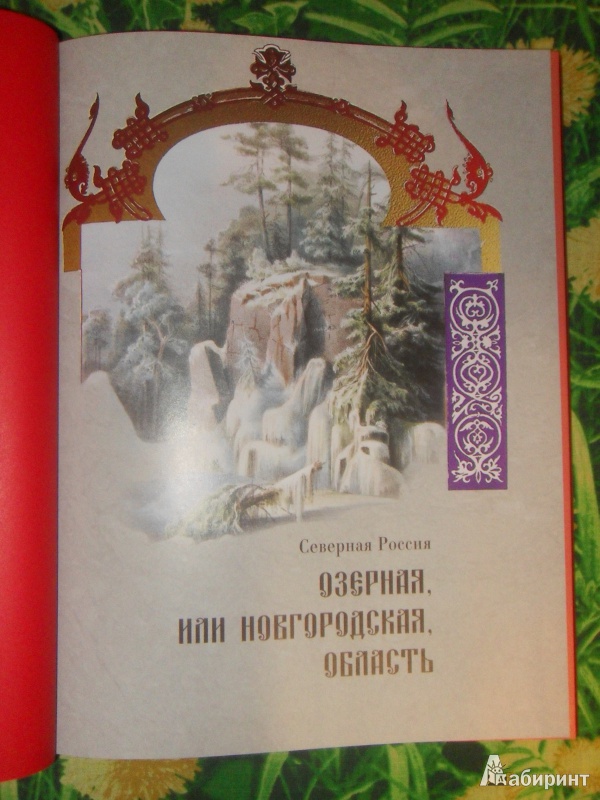 Иллюстрация 2 из 31 для Озерная, или Новгородская, область | Лабиринт - книги. Источник: knigolyub