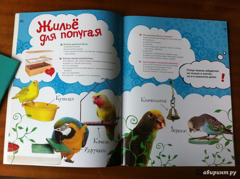 Иллюстрация 15 из 25 для Как дружить с попугайчиком | Лабиринт - книги. Источник: ИрМур