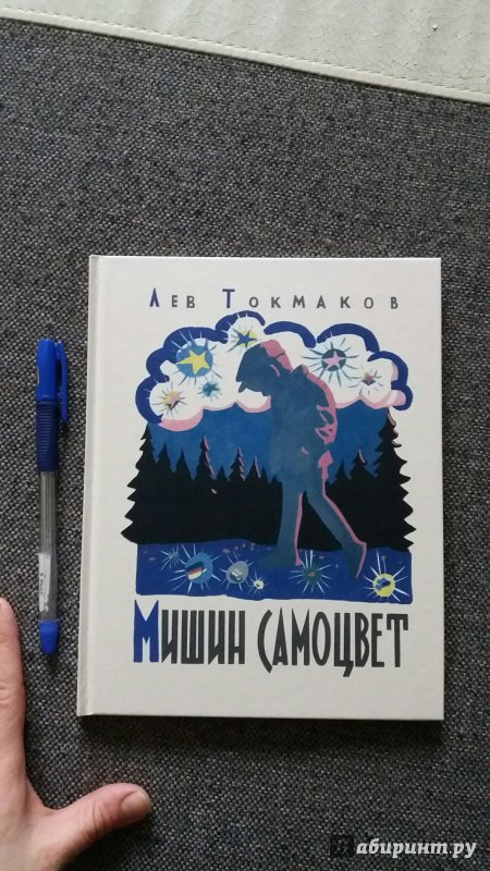Иллюстрация 6 из 45 для Мишин самоцвет - Лев Токмаков | Лабиринт - книги. Источник: Viktoria Bochkova