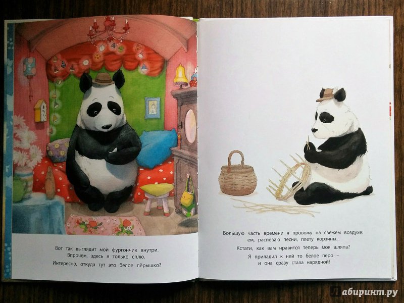 Иллюстрация 35 из 46 для Панда-бродяга - Квентин Гребан | Лабиринт - книги. Источник: Natalie Leigh