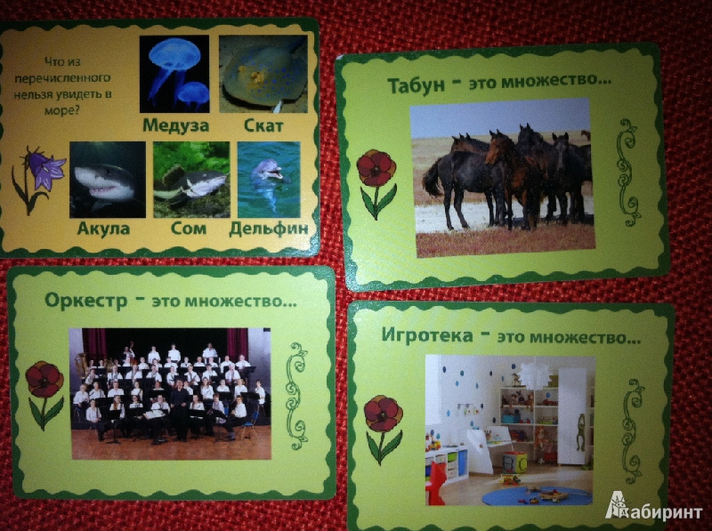Иллюстрация 5 из 6 для Путешествие по множествам. Развивающая игра - Шкоп, Пономарева | Лабиринт - игрушки. Источник: Асадуллина  Камилла Ринатовна