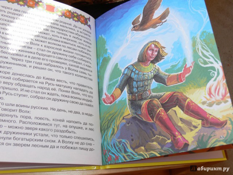Иллюстрация 12 из 32 для Русские волшебные сказки | Лабиринт - книги. Источник: Irbis