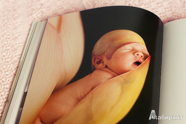 Иллюстрация 10 из 12 для В ожидании чуда. Дневник моей беременности (в футляре) - Анне Геддес | Лабиринт - книги. Источник: Kat_rina