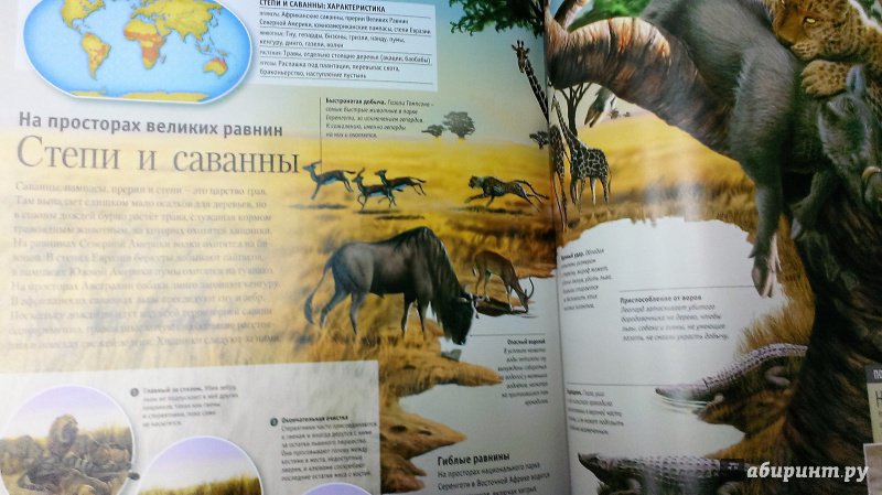 Иллюстрация 2 из 4 для Хищные животные - Лампкин, Сейденстикер | Лабиринт - книги. Источник: Савчук Ирина