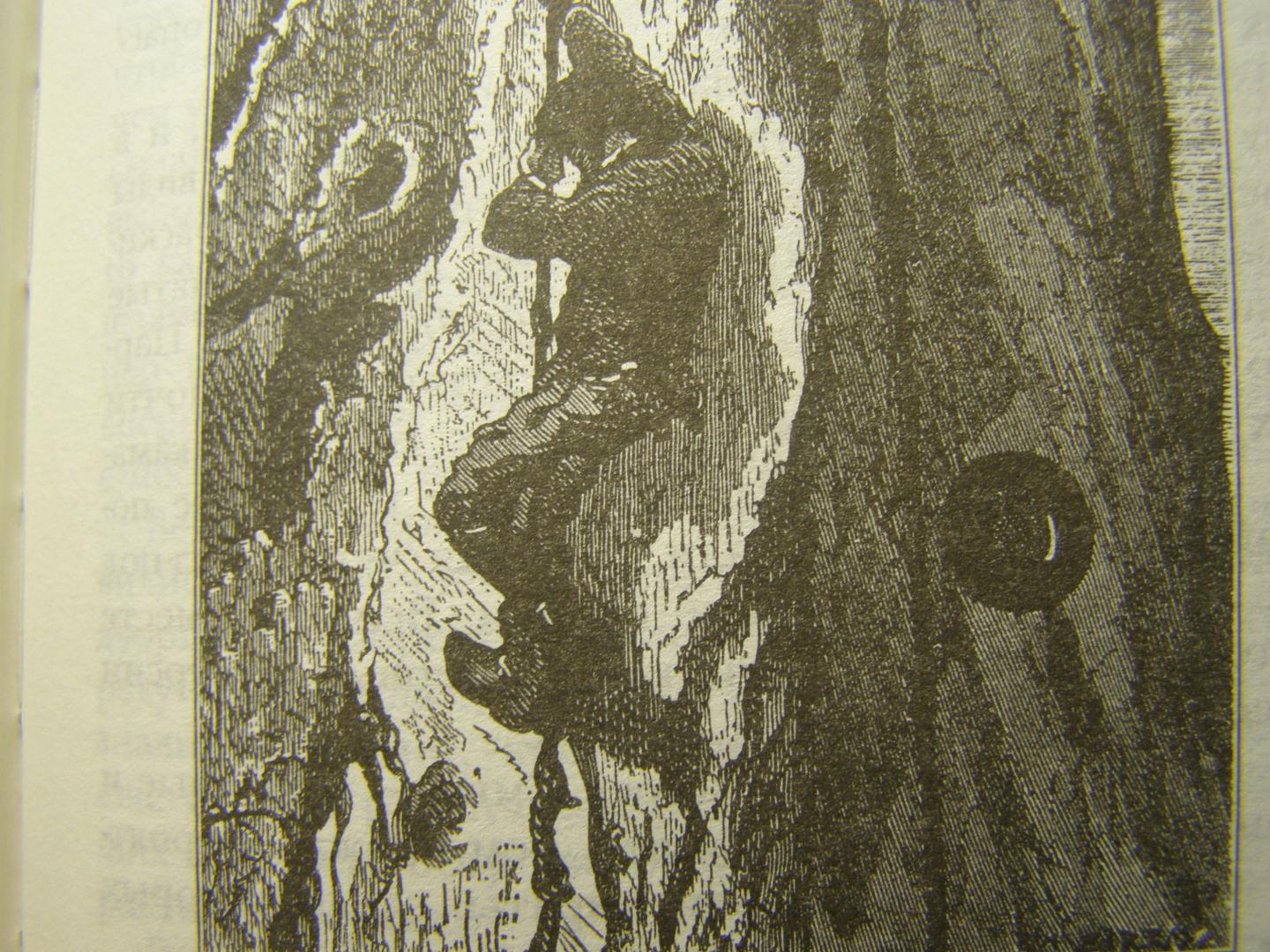 Иллюстрация 61 из 81 для Таинственный остров - Жюль Верн | Лабиринт - книги. Источник: Лабиринт