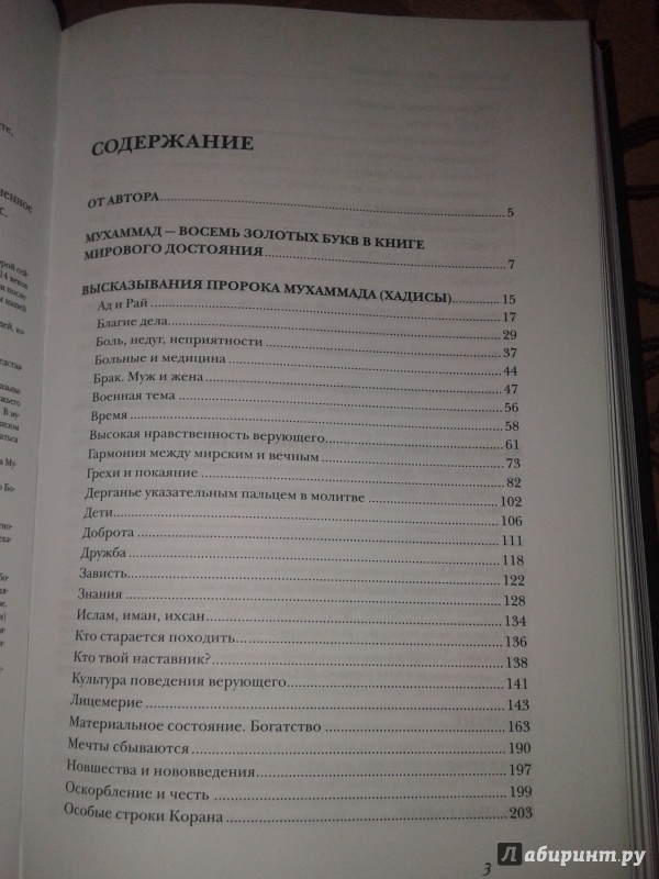 Иллюстрация 7 из 15 для Высказывания пророка Мухаммада - Шамиль Аляутдинов | Лабиринт - книги. Источник: Gambit