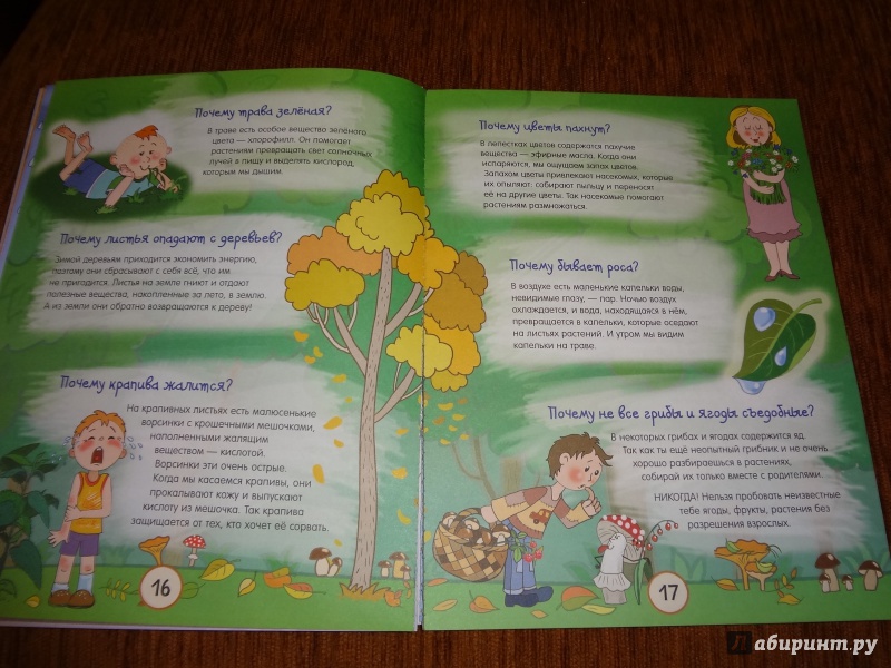 Иллюстрация 81 из 136 для Почему трава зелёная и еще 100 детских почему - Татьяна Яценко | Лабиринт - книги. Источник: Дегтерева  Светлана