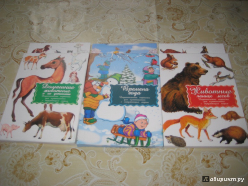 Иллюстрация 8 из 21 для Дидактические карточки "Домашние животные и их детеныши" | Лабиринт - игрушки. Источник: Оксана Бельнова