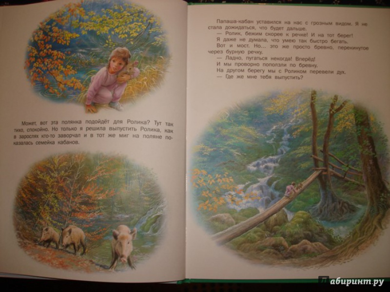 Иллюстрация 12 из 45 для Маруся - подружка всех зверят. В лесу. В деревне - Делаэ, Марлье | Лабиринт - книги. Источник: Сорокина  Лариса
