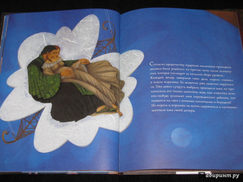 Иллюстрация 42 из 50 для Принцесса без имени - Гюге Пари | Лабиринт - книги. Источник: Nemertona