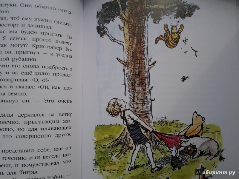 Иллюстрация 23 из 24 для Винни-Пух и все-все-все - Алан Милн | Лабиринт - книги. Источник: Olga