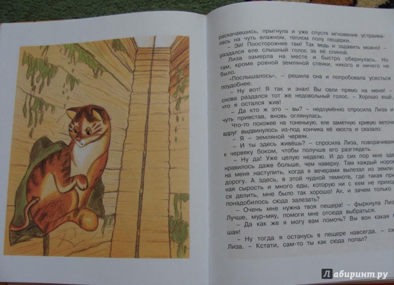 Иллюстрация 30 из 35 для Приключения Сдобной Лизы - Виктор Лунин | Лабиринт - книги. Источник: Марина1704