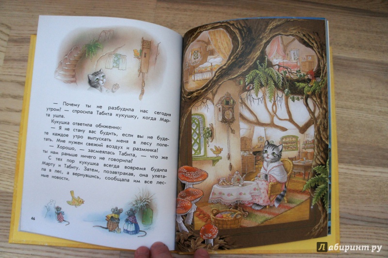 Иллюстрация 11 из 36 для Сказки крольчихи Марты - Ширли Барбер | Лабиринт - книги. Источник: Костюкова  Ирина