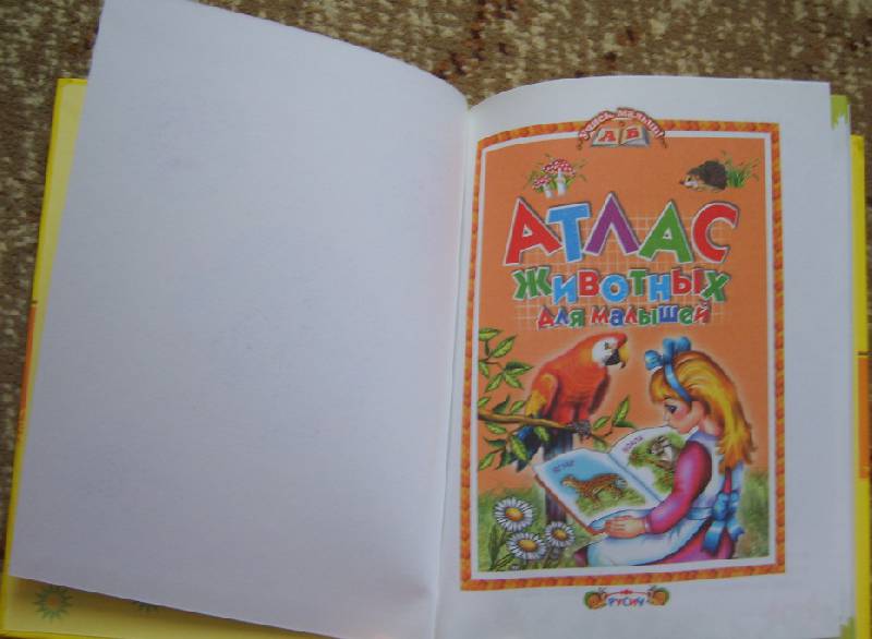 Иллюстрация 43 из 51 для Атлас животных для малышей - Татьяна Комзалова | Лабиринт - книги. Источник: Tatka