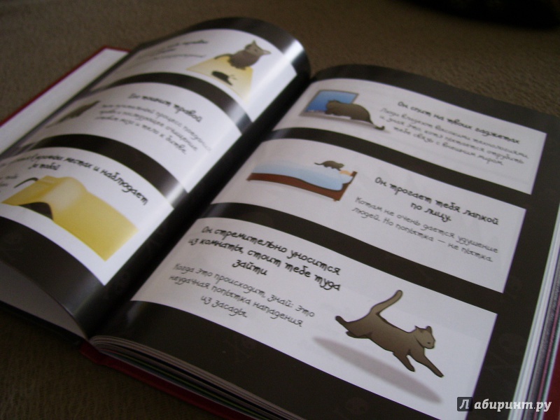 Иллюстрация 23 из 26 для Как распознать, что твой кот решил тебя прикончить - Мэтью Инман | Лабиринт - книги. Источник: КошкаПолосатая