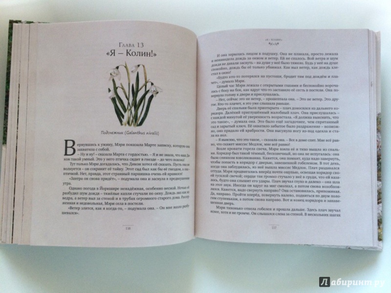 Иллюстрация 15 из 56 для Таинственный сад - Фрэнсис Бёрнетт | Лабиринт - книги. Источник: Сан Санна
