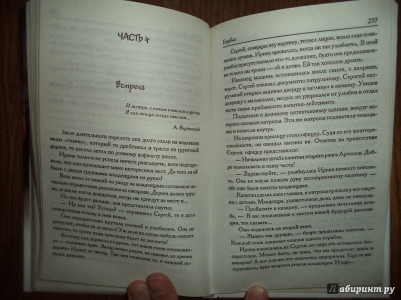 Иллюстрация 19 из 22 для Голубка - Алина Знаменская | Лабиринт - книги. Источник: Kirill  Badulin