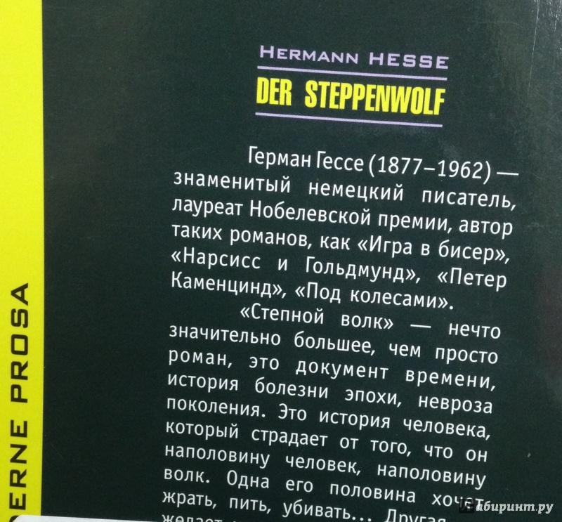 Иллюстрация 3 из 18 для Der Steppenwolf - Hermann Hesse | Лабиринт - книги. Источник: Tatiana Sheehan