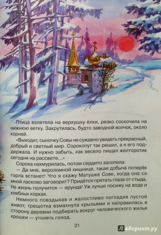 Иллюстрация 8 из 26 для Удачная находка Сороки-белобоки - Светлана Ананич | Лабиринт - книги. Источник: Xikary
