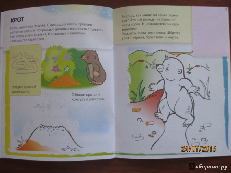 Иллюстрация 8 из 31 для Домики животных | Лабиринт - книги. Источник: Марина Епифанцева