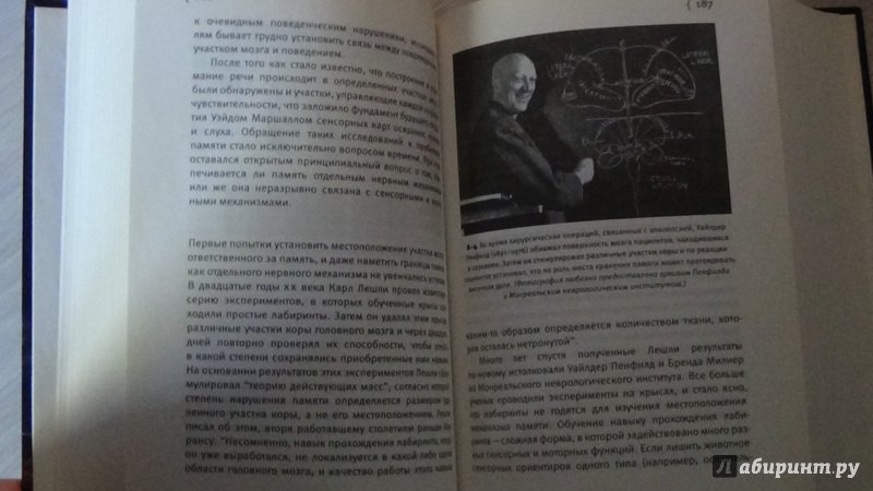 Иллюстрация 13 из 44 для В поисках памяти - Эрик Кандель | Лабиринт - книги. Источник: Консультант по наукам