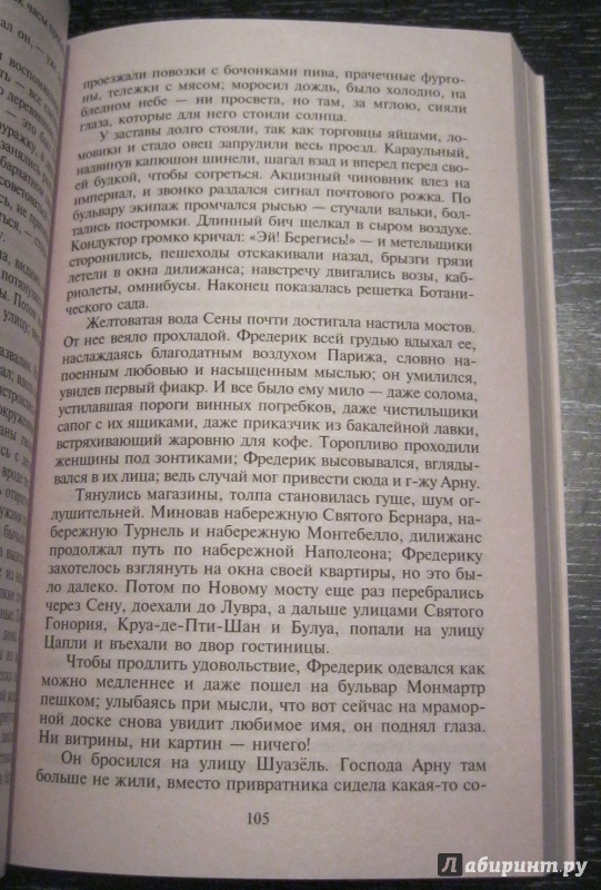 Иллюстрация 8 из 15 для Воспитание чувств - Гюстав Флобер | Лабиринт - книги. Источник: Хабаров  Кирилл Андреевич