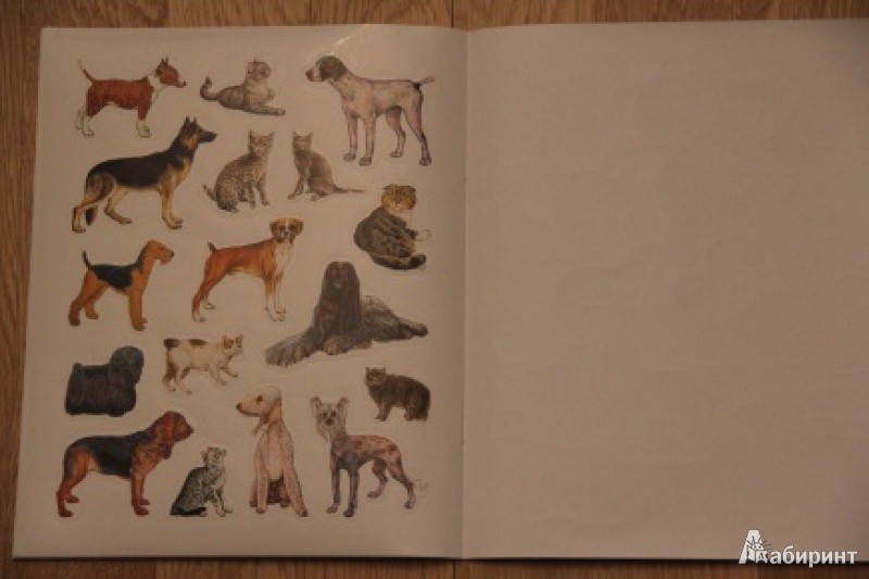 Иллюстрация 8 из 26 для Большая книга развивающих наклеек. Кошки и собаки | Лабиринт - книги. Источник: loko-moko