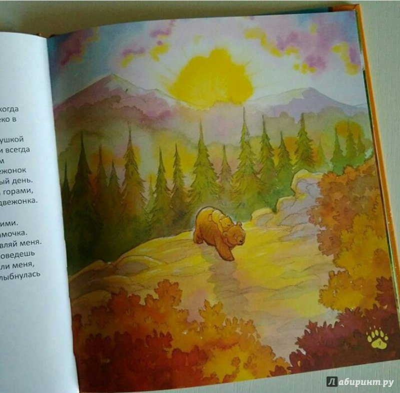 Иллюстрация 14 из 29 для Старые медведи не умеют лазать по деревьям - Хейди Ховарт | Лабиринт - книги. Источник: lo