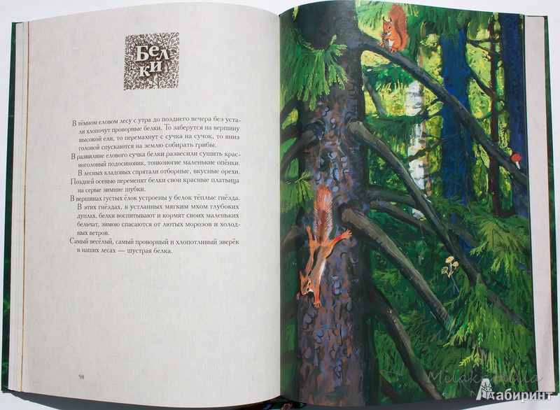 Иллюстрация 69 из 69 для Год в лесу - Иван Соколов-Микитов | Лабиринт - книги. Источник: Букландия