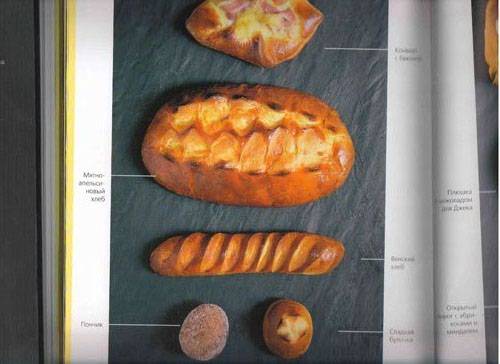 Иллюстрация 26 из 27 для Свой хлеб. Удивительное искусство и простое удовольствие - Ришар Бертине | Лабиринт - книги. Источник: Schani