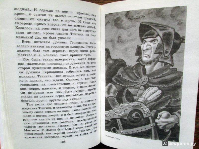 Иллюстрация 6 из 14 для Братья Львиное Сердце - Астрид Линдгрен | Лабиринт - книги. Источник: Зеленая шляпа
