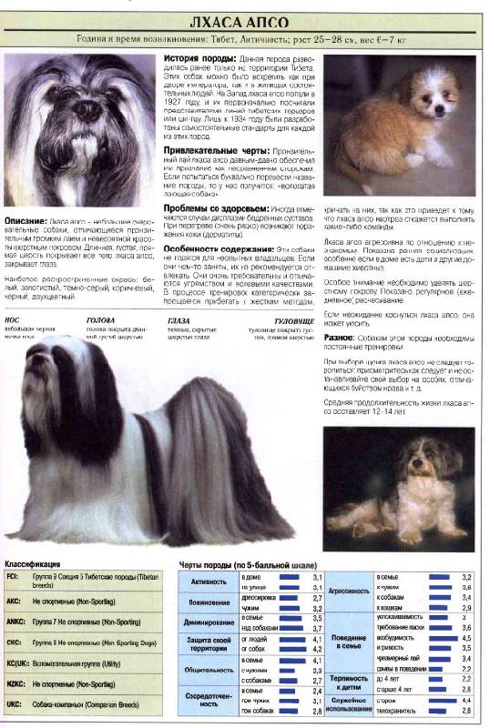 Иллюстрация 5 из 12 для Все о самых популярных породах собак - Джульетта Мей | Лабиринт - книги. Источник: Кнопа2