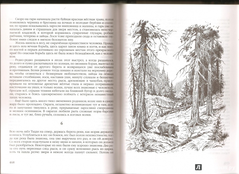 Иллюстрация 12 из 14 для Антология мировой детской литературы. Том 3 | Лабиринт - книги. Источник: Alex
