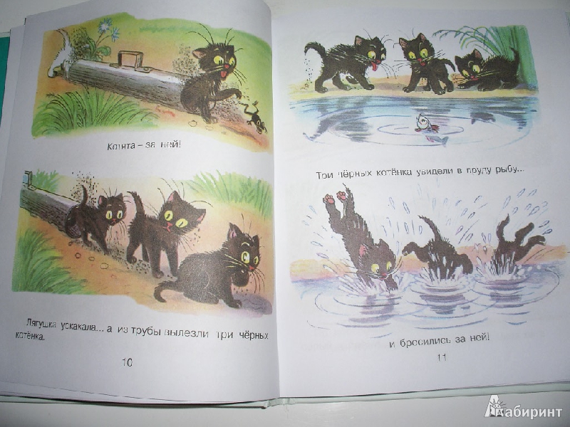 Иллюстрация 8 из 15 для Самые любимые сказки - Владимир Сутеев | Лабиринт - книги. Источник: Tiger.