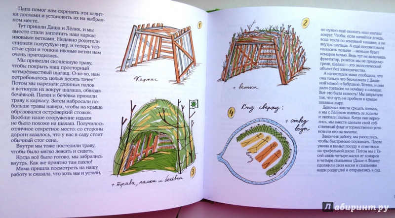 Иллюстрация 42 из 87 для Лето в Деревне - Зина Сурова | Лабиринт - книги. Источник: reader*s