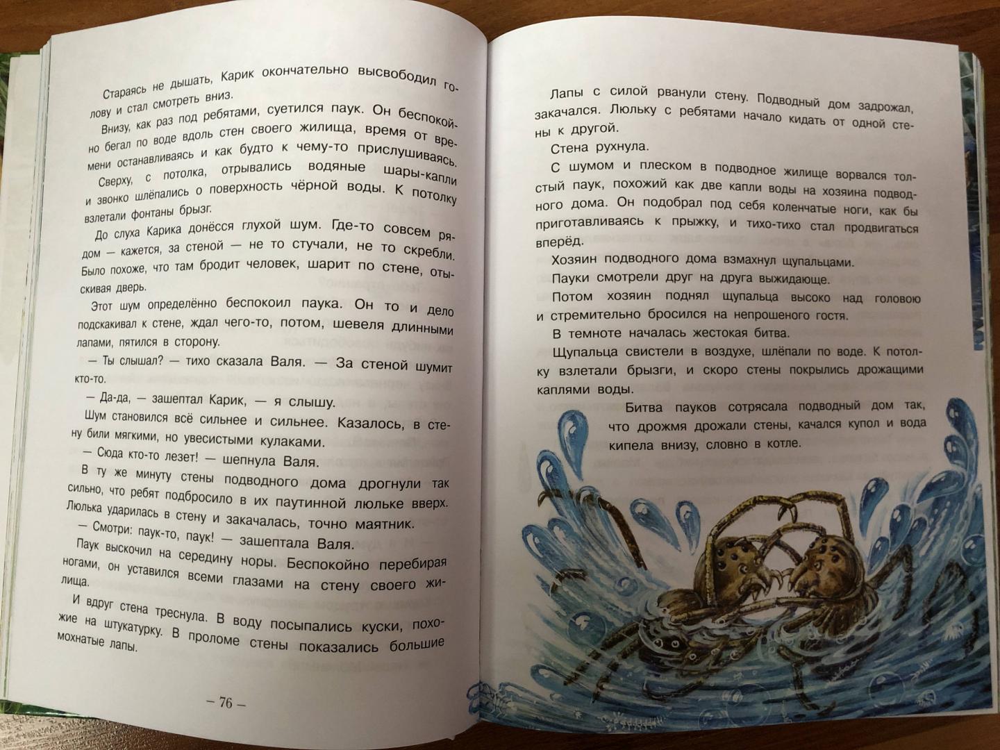 Иллюстрация 61 из 95 для Необыкновенные приключения Карика и Вали - Ян Ларри | Лабиринт - книги. Источник: ДинаЛана