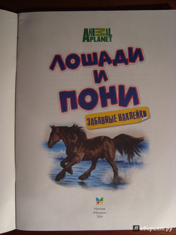 Иллюстрация 10 из 19 для Лошади и пони. Забавные наклейки | Лабиринт - книги. Источник: Чародейница