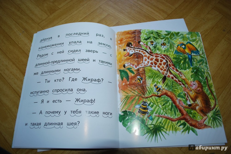 Иллюстрация 6 из 13 для Почему у жирафа длинная шея - Елена Ермолова | Лабиринт - книги. Источник: Журавлёва  Анна