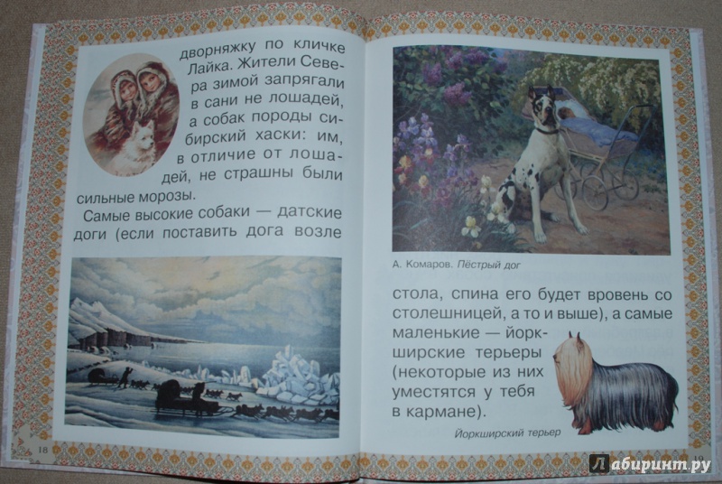 Иллюстрация 10 из 29 для Каникулы и будни собаки - Наталия Ермильченко | Лабиринт - книги. Источник: Книжный кот