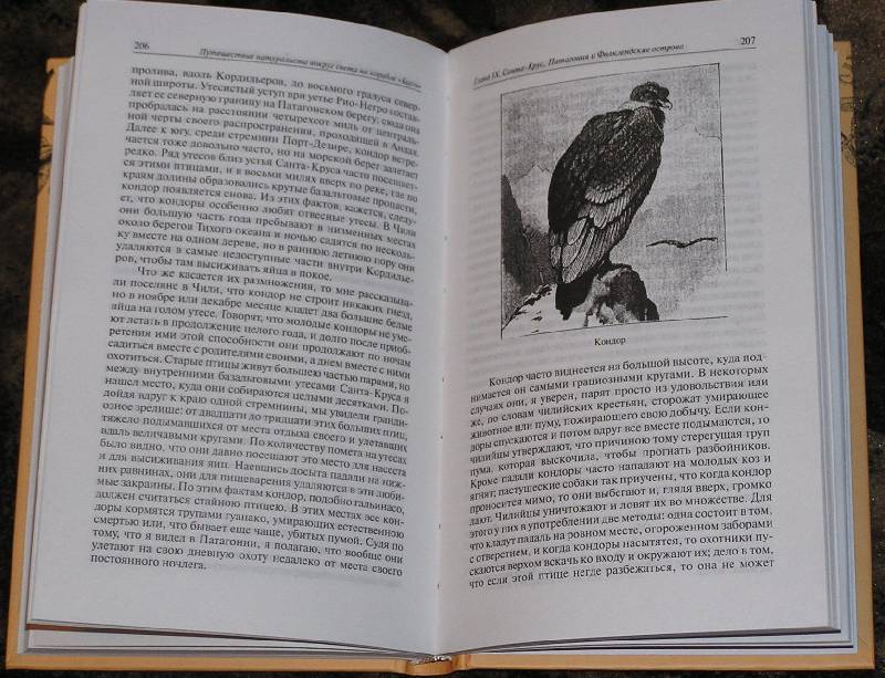 Иллюстрация 28 из 30 для Путешествие натуралиста вокруг света на корабле "Бигль". В 2-х книгах - Чарльз Дарвин | Лабиринт - книги. Источник: Ромина мама
