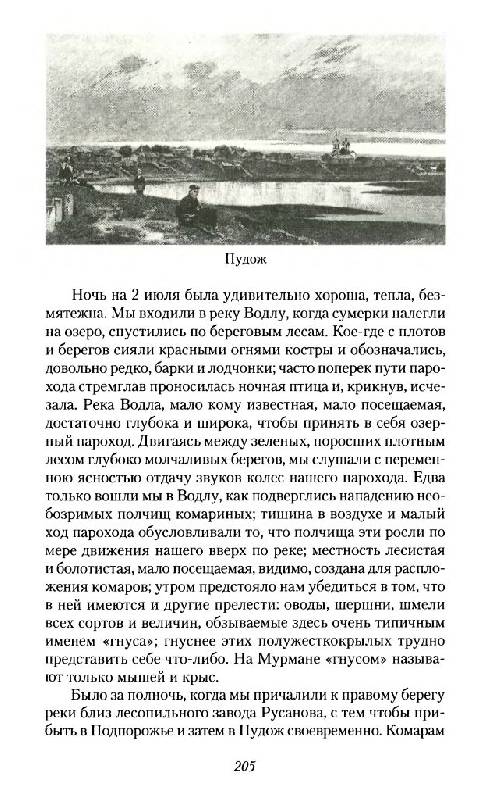 Иллюстрация 44 из 53 для Поездки по Северу России в 1885-1886 годах - Константин Случевский | Лабиринт - книги. Источник: Юта