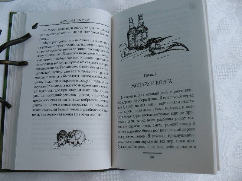 Иллюстрация 12 из 16 для Гончие Бафута - Джеральд Даррелл | Лабиринт - книги. Источник: tayana