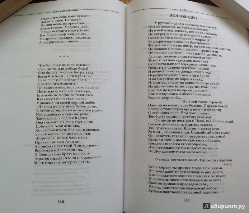 Иллюстрация 22 из 30 для Поэзия - Александр Пушкин | Лабиринт - книги. Источник: Nadezhda  Marchenko