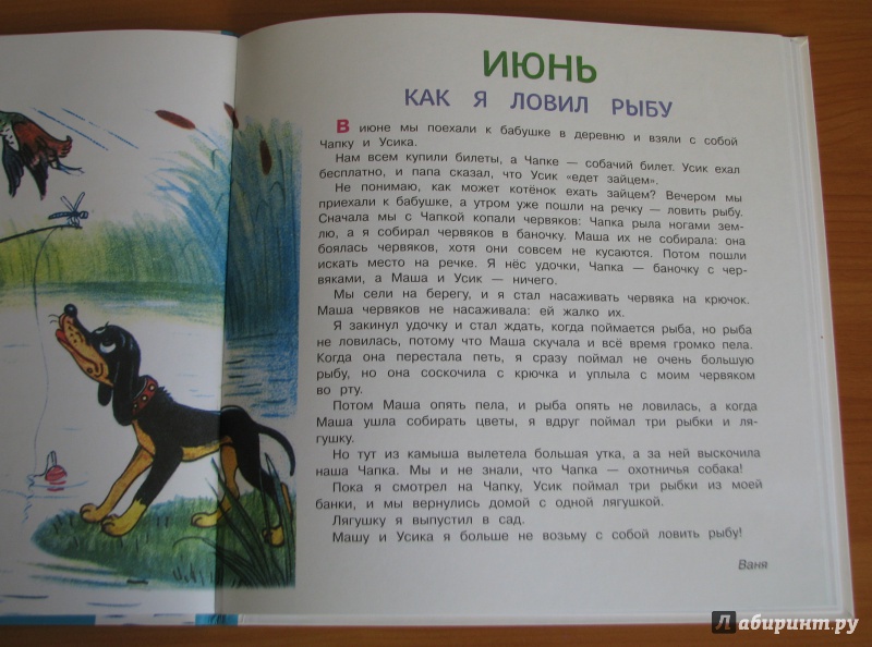 Иллюстрация 37 из 41 для Времена года - Владимир Сутеев | Лабиринт - книги. Источник: Штерн  Яна