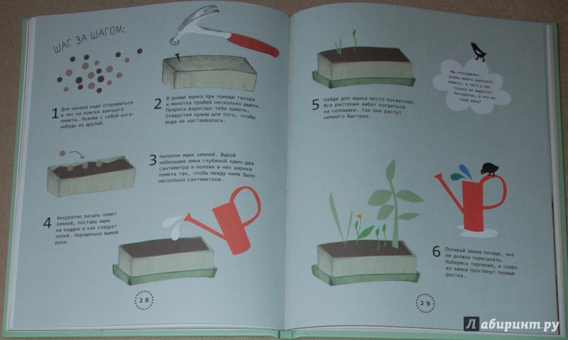 Иллюстрация 19 из 28 для Огород на подоконнике - Линдстрем, Нюберг | Лабиринт - книги. Источник: Книжный кот