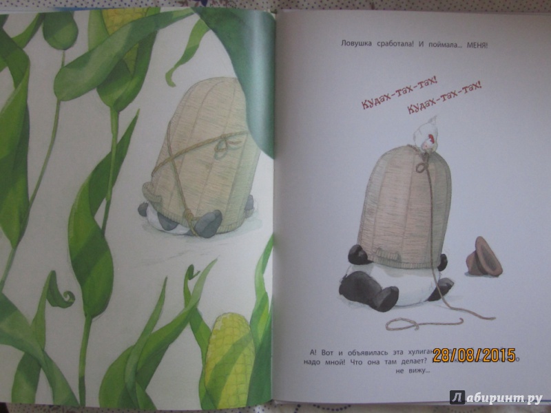 Иллюстрация 18 из 46 для Панда-бродяга - Квентин Гребан | Лабиринт - книги. Источник: Булавинцева Маргарита