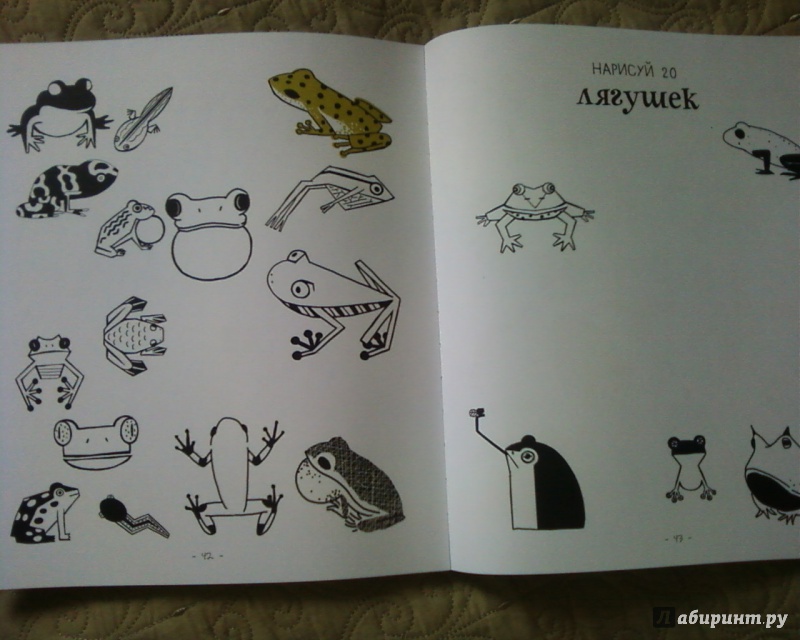 Иллюстрация 24 из 31 для 20 способов нарисовать кошку и 44 других удивительных животных - Джулия Куо | Лабиринт - книги. Источник: Родионова  Надежда